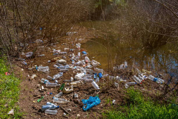 istock Various plastic and plastic bottle waste in nature 1307022388