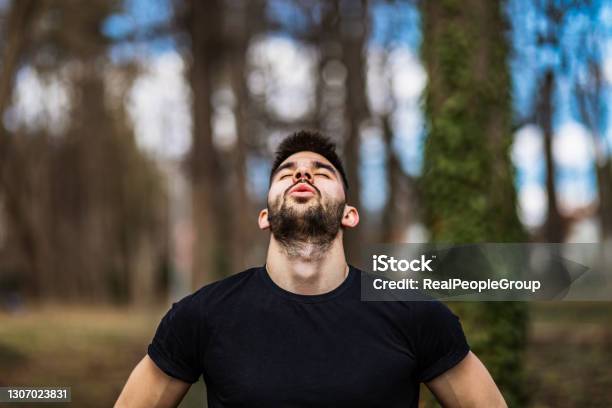 Relaxed Man Breaths Fresh Air In A Beautiful Colorful Forest Stock Photo - Download Image Now