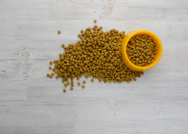 dry cat or dog food in bowl on wooden background with empty copy space, top angle view. pet food on gray wood surface. pet care and health concept - 11321 imagens e fotografias de stock