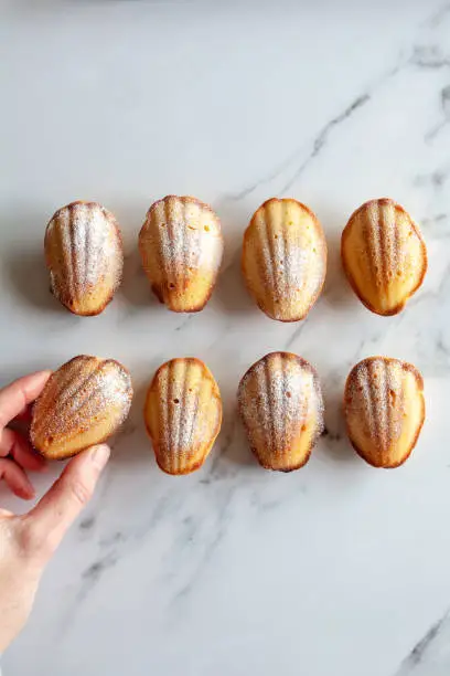 Close-up from above of eight home made madeleine cakes, female hand grabbing one piece, on white marble background, with copy space
