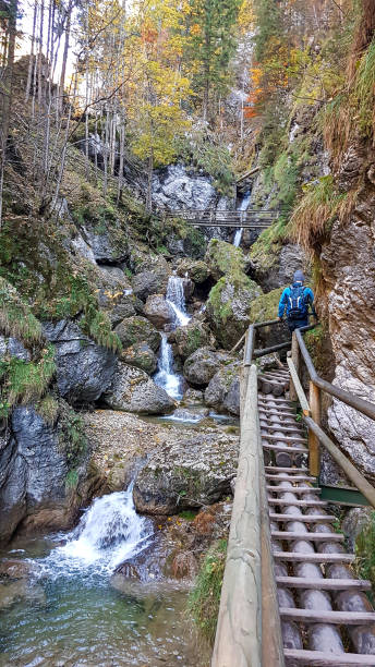istock Baerenschuetzklamm - A man with blue backpack walking along a wooden, ladder pathway along a high gorge in Austrian Alps 1307029501