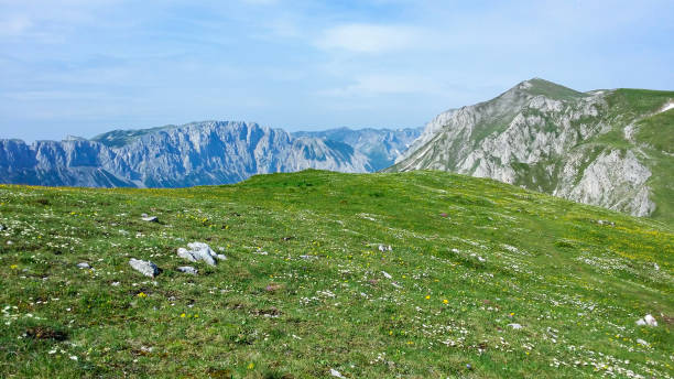 A panoramic view on Hochschwab mountain chains from the pathway leading to Hohe Weichsel. There is a lush green pasture on top of a mountain. Clear view. Blue sky above. Early spring in Alps.