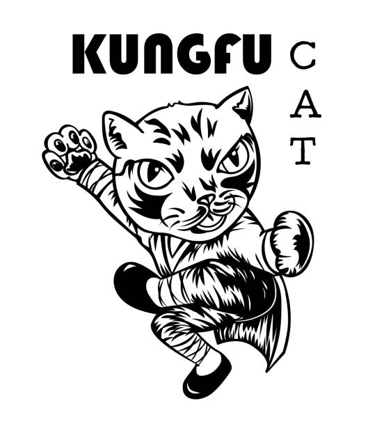 610+ Kung Fu Cat Stock Photos, Pictures & Royalty-Free Images - iStock
