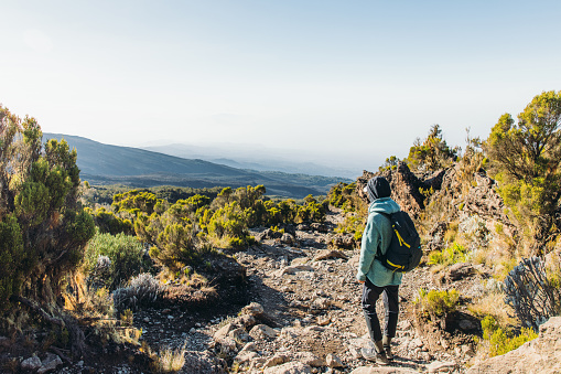 Young woman hiker walking at the beautiful mountain landscape on mount Kilimanjaro, Tanzania