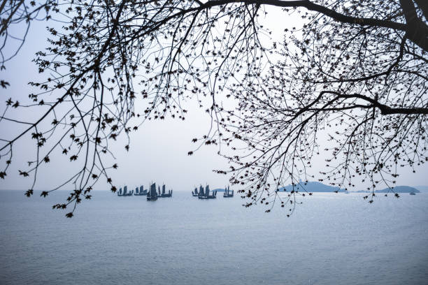 On the Taihu Lake in Wuxi, China, sailing boats and tree shadows complement each other.
