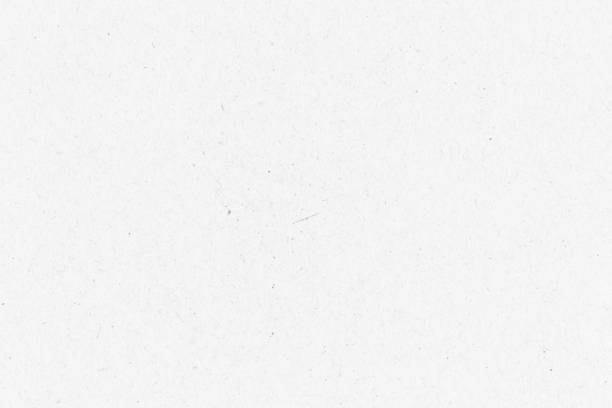 istock White paper background texture light rough textured spotted blank copy space background 1307037732