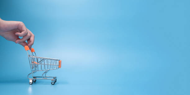 istock Hand pushing shopping cart or trolley on blank background 1307038764