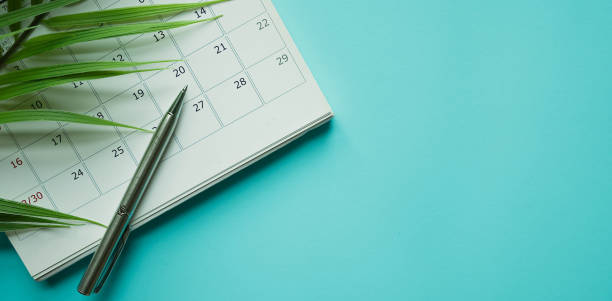 fermez vers le haut la vue supérieure sur le calendrier blanc avec le crayon et les lames tropicales sur le fond bleu de table pour la planification du travail et de l’équilibre de vie dans le concept d’été de vacances - table reservation photos et images de collection