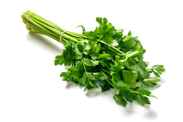 istock Bunch of celery leaves and stems isolated on white background 1307041323