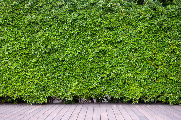 istock exterior with hardwood decor. 1307041999