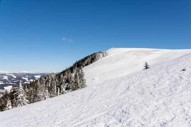 istock Plankogel at Sommeralm, Austria, during winter 1307043098