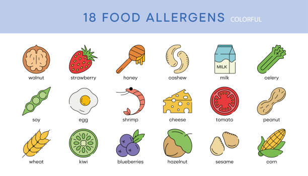ilustrações, clipart, desenhos animados e ícones de 18s conjunto de ícones de alergia alimentar. alérgenos essenciais e ícones da linha de dieta conjunto vetorial. - honey roasted nut