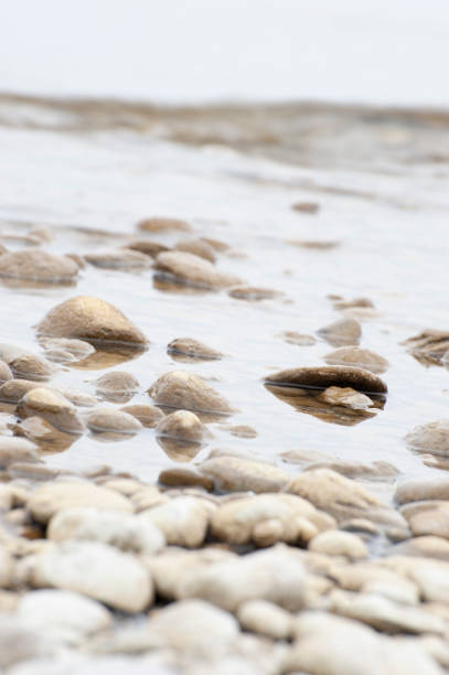Shiny Colorful Wet Pebbles on Sea Shore