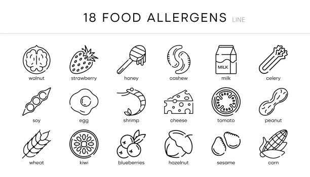 illustrations, cliparts, dessins animés et icônes de 18s ensemble d’icônes d’allergie alimentaire. ensemble de vecteurs essentiels d’allergènes et d’icônes de ligne de régime. - allergy food peanut pollen