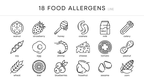 18s set ikon alergi makanan. alergen esensial dan ikon garis diet vektor ditetapkan. - food allergies ilustrasi stok