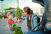 familie-setzt-pflanzen-im-auto-auf-parkplatz-nach-dem-einkaufen-in-gartencenter.jpg?b=1&s=170x170&k=20&c=8u8vceNqMqJQ9Aq5OxY3rSBEGcbzm0W86avKEhr3T4g=