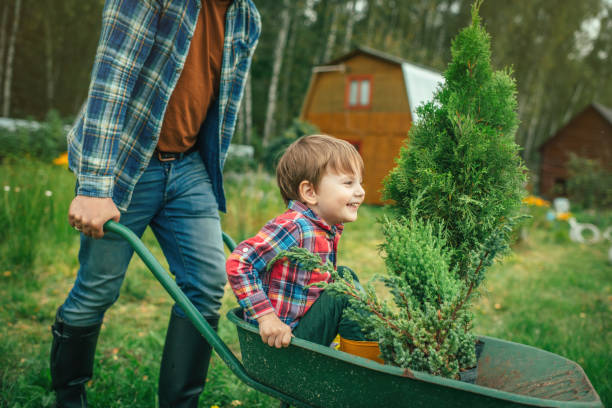istock Family planting tree at back yard 1307051048