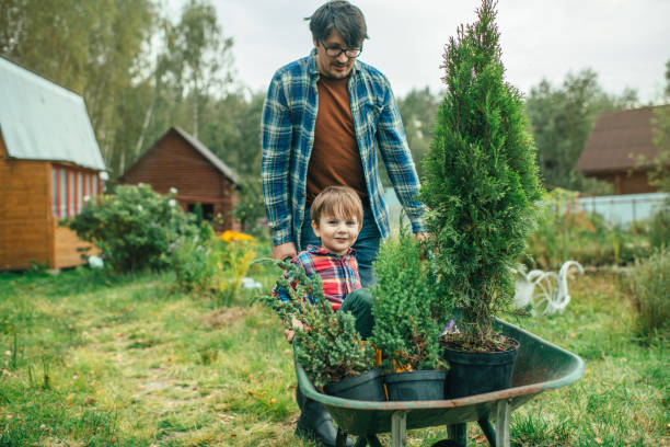 Family planting tree at back yard