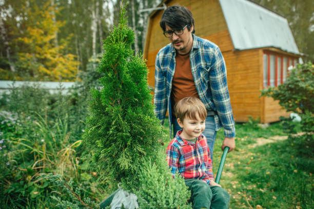 istock Family planting tree at back yard 1307051080