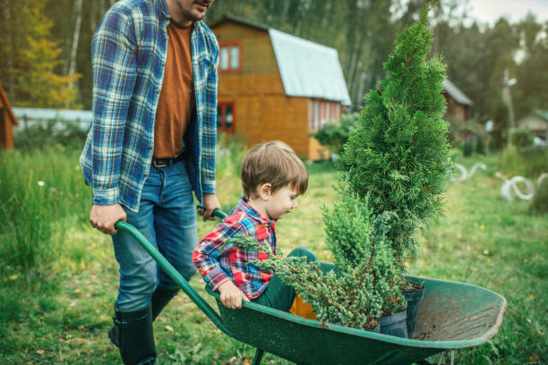 istock Family planting tree at back yard 1307051089