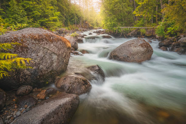 istock Coffee Creek, British Columbia 1307051167