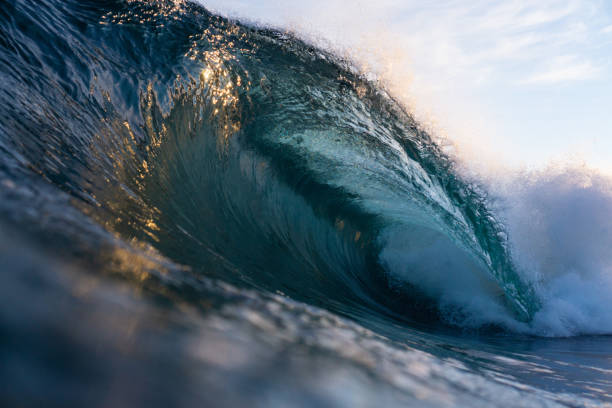 istock Perfect breaking wave barrel at sunrise 1307052156