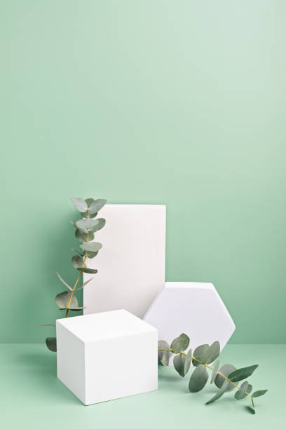 istock Podium, stand for product presentation and eucalyptus. Mockup for branding, packaging 1307052434
