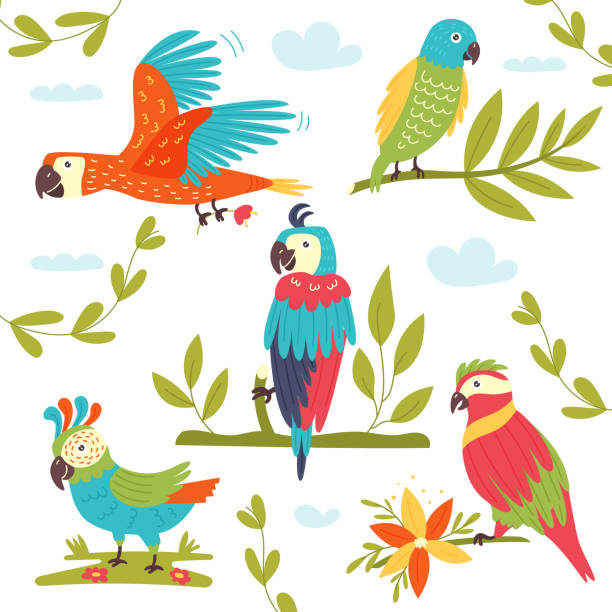 ilustrações, clipart, desenhos animados e ícones de conjunto de papagaios vetoriais coloridos tropicais - vibrant color birds wild animals animals and pets