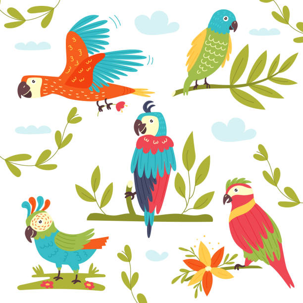 набор тропических красочных векторных попугаев - vibrant color birds wild animals animals and pets stock illustrations