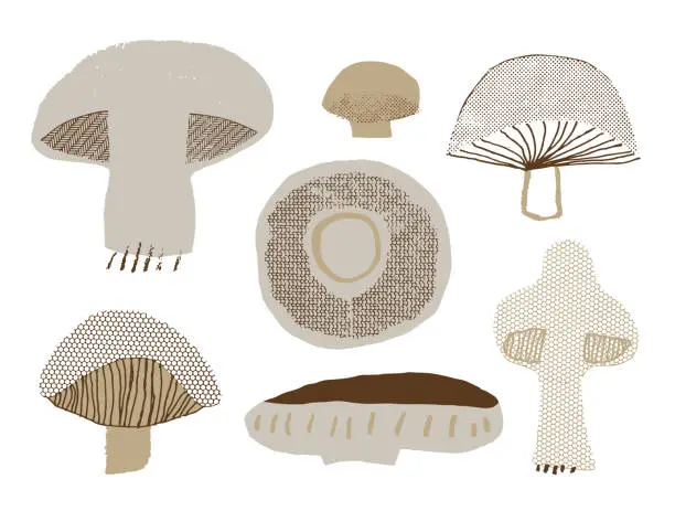 Vector illustration of Set of mushrooms