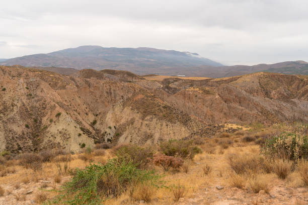 istock mountainous landscape in southern Spain 1307052843