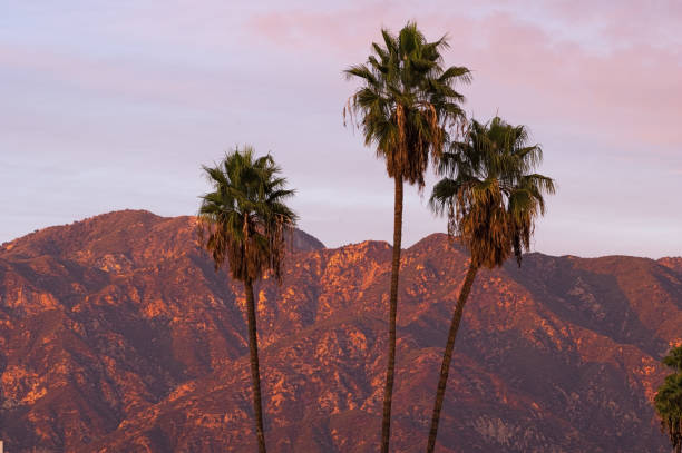 istock San Gabriel Mountains and Palm Trees California 1307055086