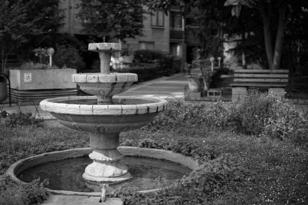 Black & white shortned view of a fountain in the park
