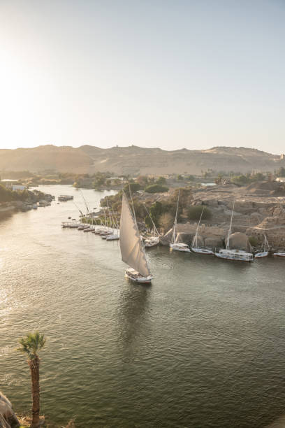istock Feluccas on the Nile river in Aswan, sunset 1307058101