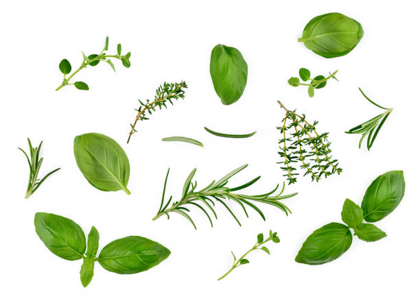 istock Different spices and herbs isolated on white background, basil leaf, thyme, rosemary, top view. 1307058111