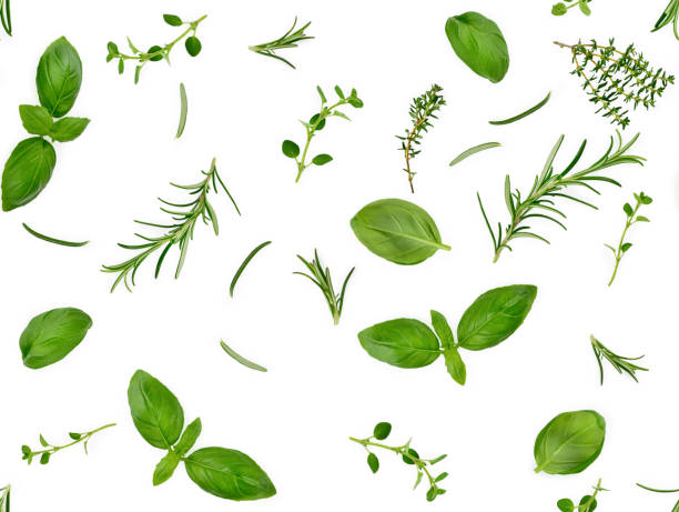 istock Different spices and herbs isolated on white background, basil leaf, thyme, rosemary, top view, seamless pattern. 1307058346