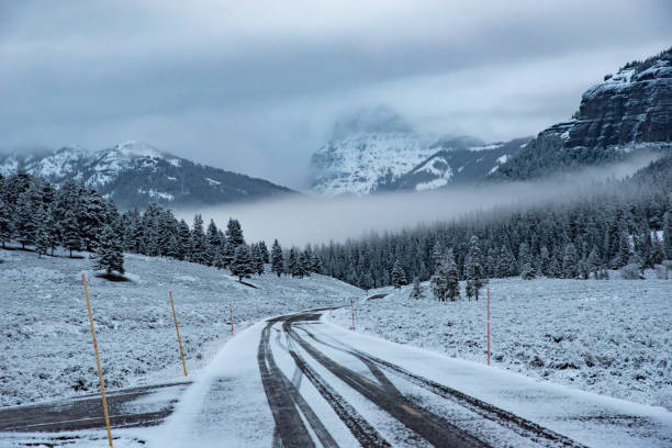 istock May 1 Highway to Cooke City in Yellowstone 1307058676
