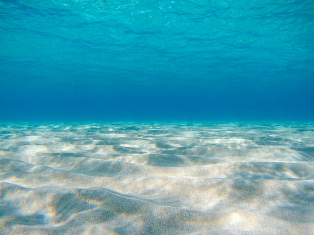 istock Underwater sand sea bottom in clear sea in Greece 1307058680