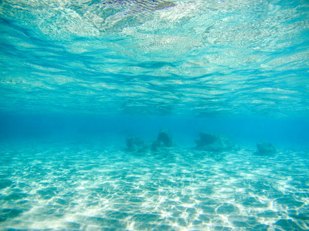 istock Underwater sand sea bottom in clear sea in Greece 1307058683