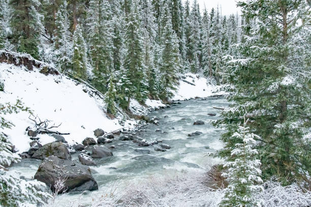 istock Fast moving springtime stream in northeast Yellowstone 1307060944