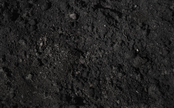 istock Chernozem, dark type of natural soil, seamless background 1307061770