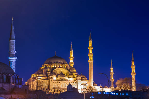 istock Suleymaniye Mosque in Istanbul 1307063122