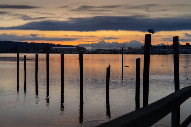 istock Winter Sunrise Dawn From Flintstone Park Oak Harbor Washington 1307064763