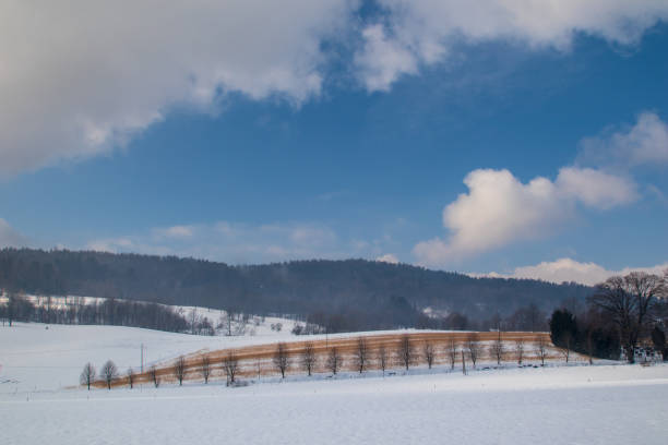 istock Landscape with field, snow and trees 1307065836
