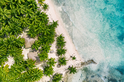 Beautiful caribbean beach on Saona island, Dominican Republic. Aerial view of tropical idyllic summer landscape with green palm trees, sea coast and white sand