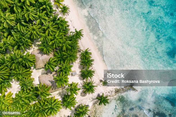 Tropical Carribbean Beach Stock Photo - Download Image Now - Dominican Republic, Beach, Aerial View
