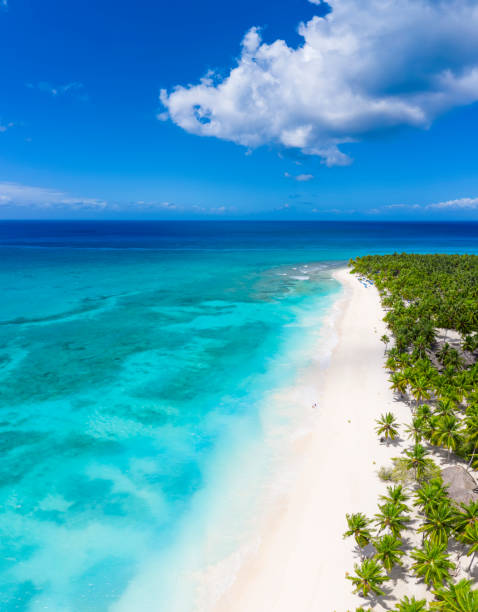 istock Tropical carribbean beach 1307069102