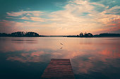 Bird flying over a lake, summer