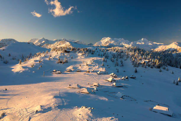 istock Winter at Velika planina 1307072296