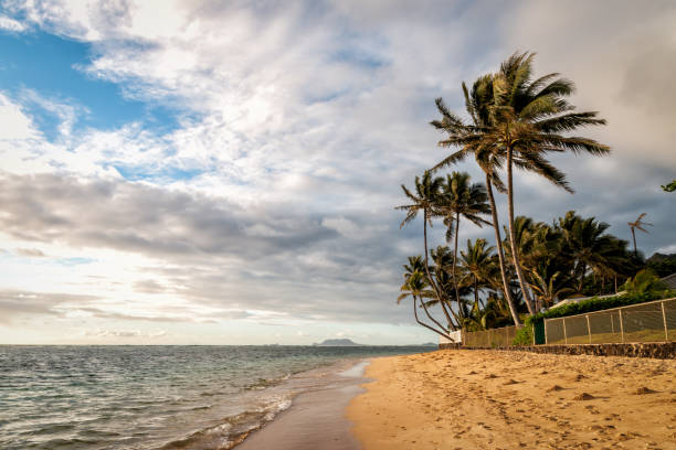 istock Hawaiian Landscape - Kaaawa, Oahu, Hawaii 1307074688